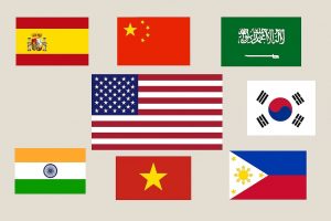 Fastest-Growing Languages in the US