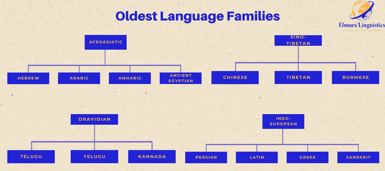 Infographic showing the world’s oldest language families organized as family trees, including Afroasiatic, Indo-European, Dravidian, and Sino-Tibetan, with examples such as Hebrew, Arabic, Chinese, Sanskrit, Tamil, and others.